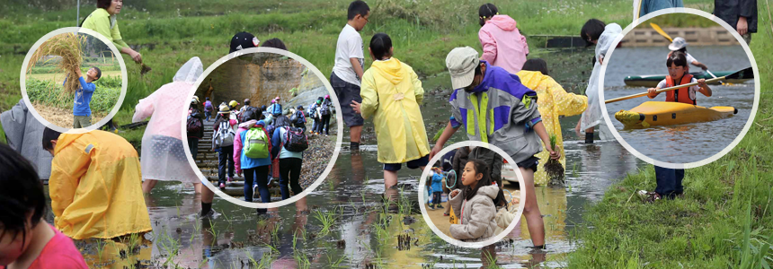 千葉県立東金青少年自然の家イメージ写真2